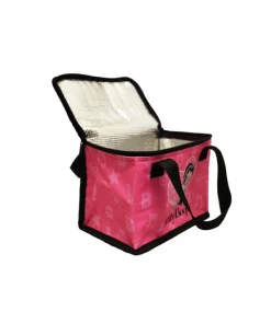 Bettyboopsuperstore Betty Boop Lunch Bag Attitude